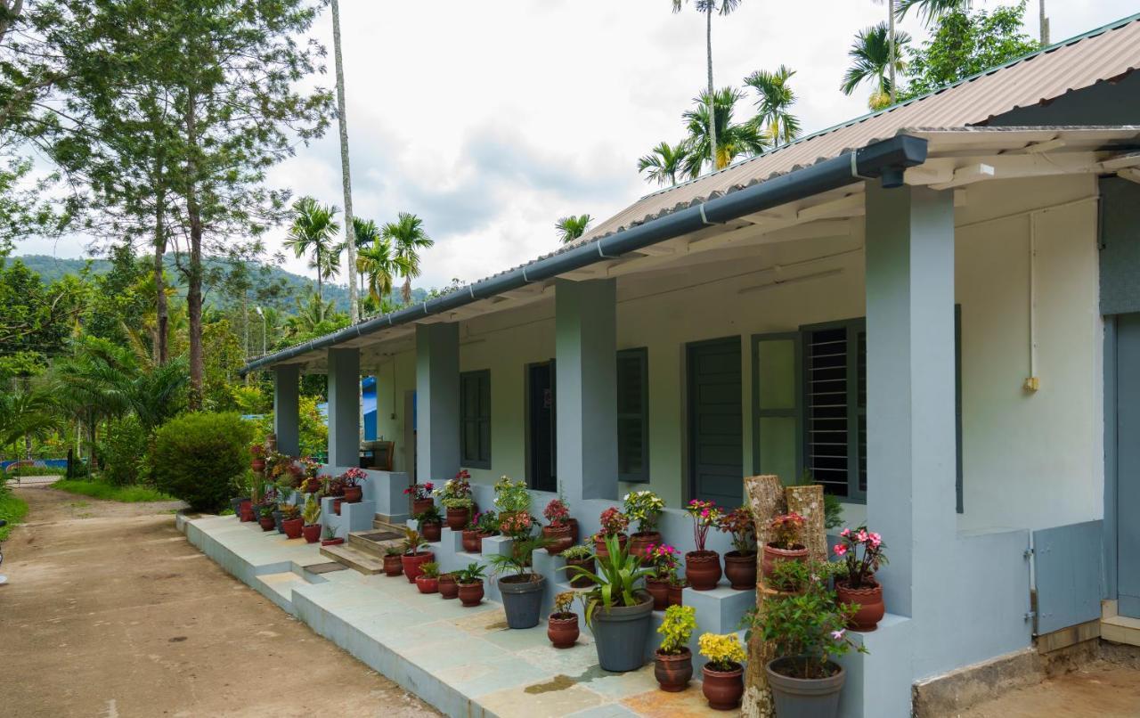 Mystic Trees, Kumily Apartment Thekkady Bagian luar foto